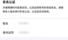 爆料人怎么赚钱的视频呢,揭秘爆料人如何通过视频内容实现财富增长